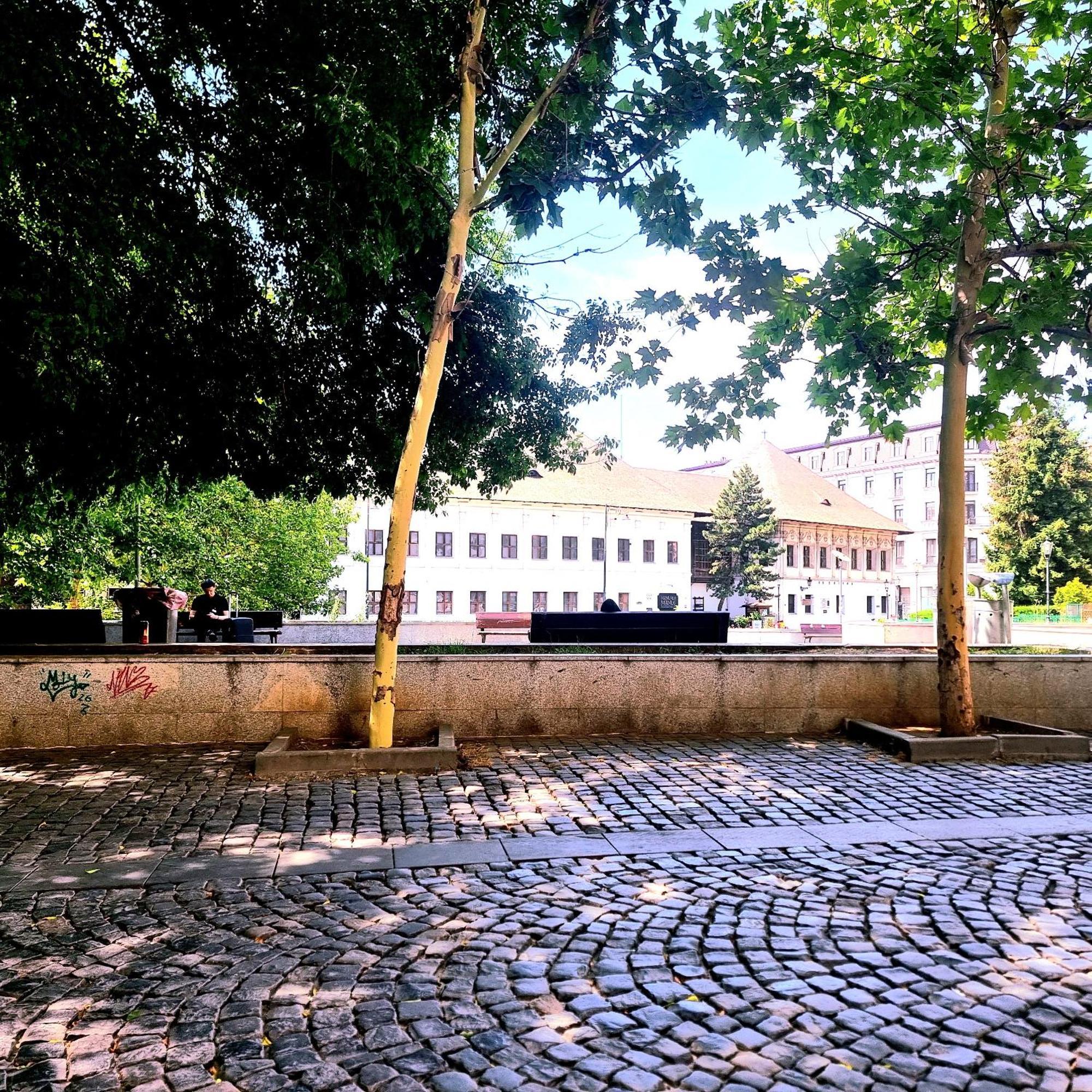 Enchanting Retreat - Historic Old Town - Pet-Friendly Haven - Steps From Unirii Bükreş Dış mekan fotoğraf